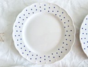 Lot de 6 assiettes plates Boch Points bleus