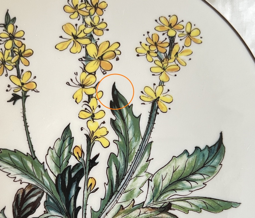 Bonbonnière Villeroy & Boch Botanica