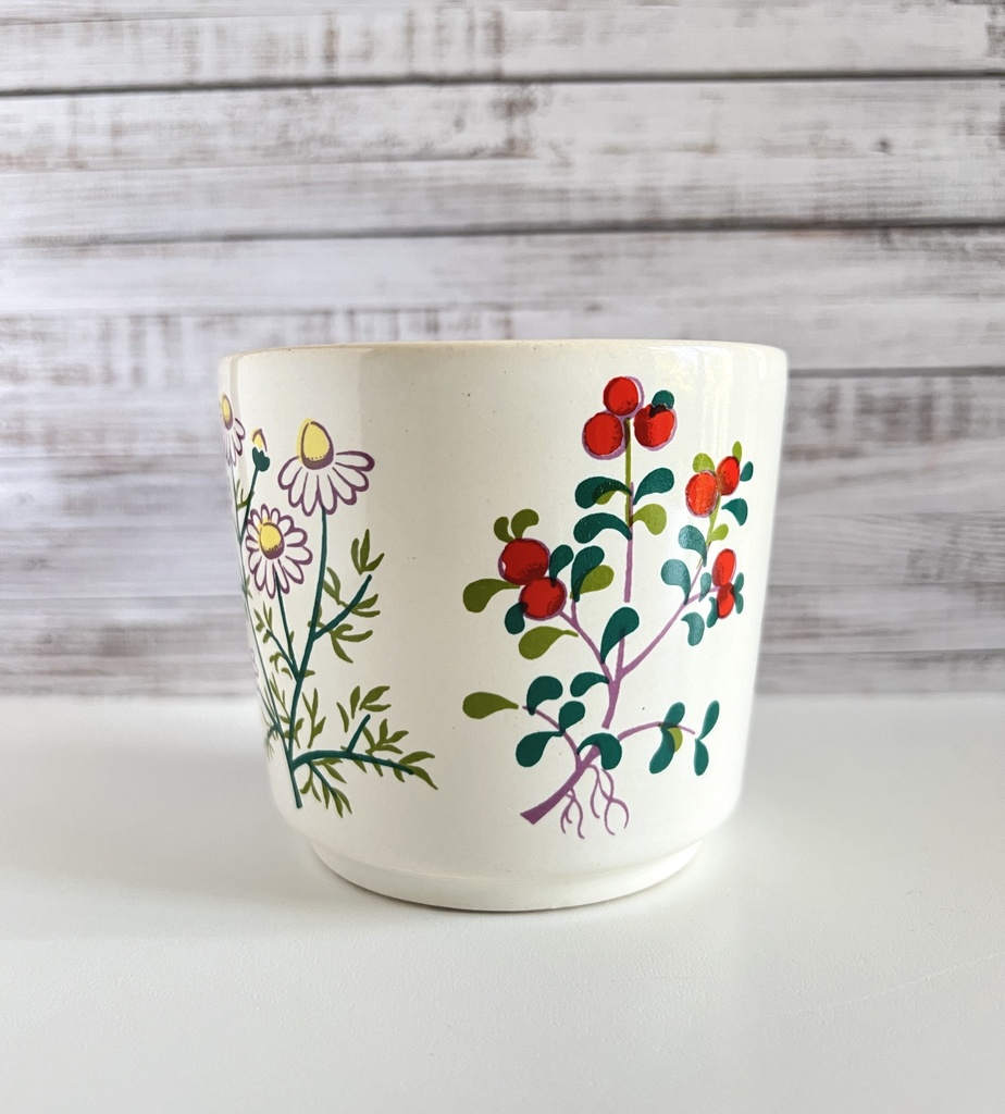 Tasse au décor botanique Waechtersbach