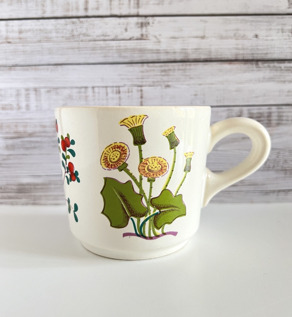 Tasse au décor botanique Waechtersbach