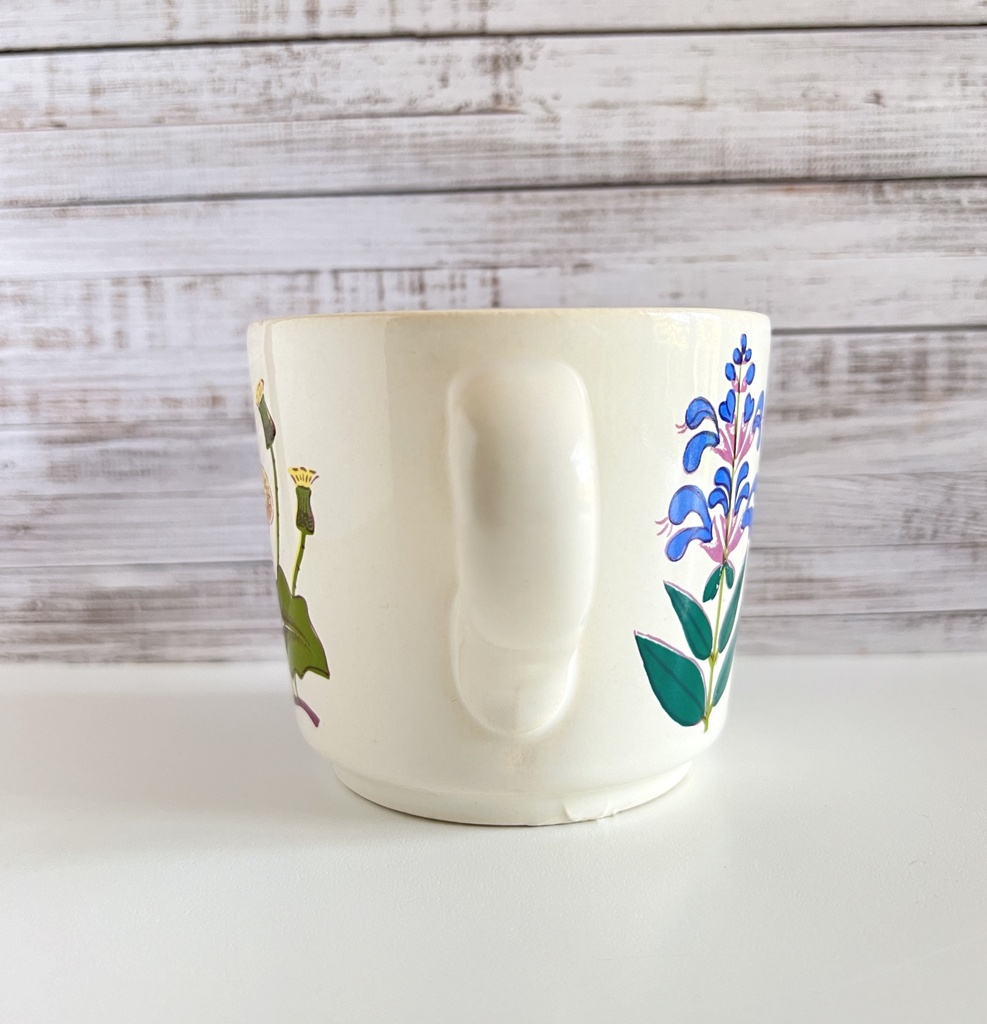 Tasse au décor botanique Waechtersbach