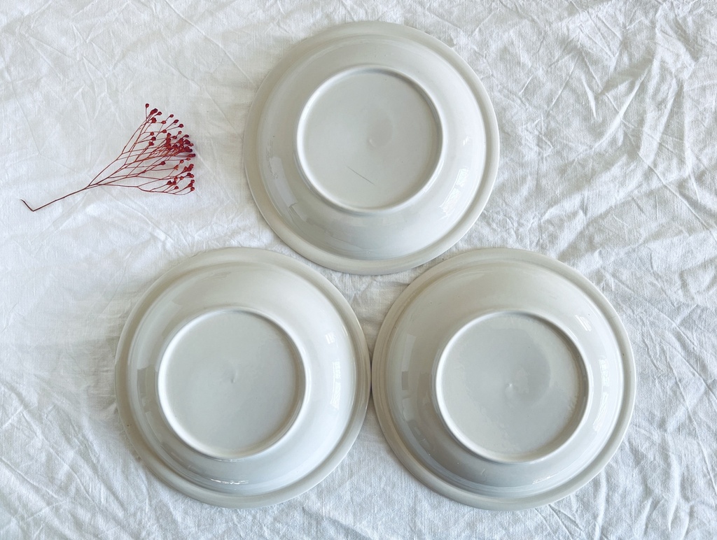 Lot de 5 assiettes creuses Boch Eden