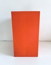 Range-vinyle en plastique orange BOA Inter