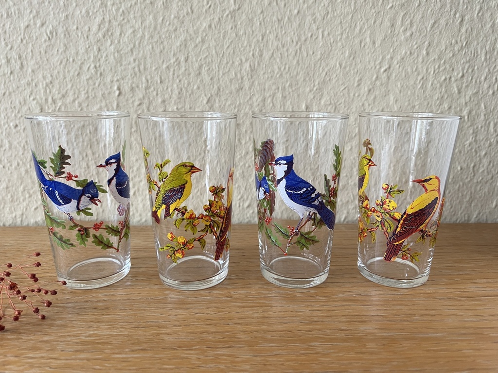Ensemble de 4 verres décorés d'oiseaux
