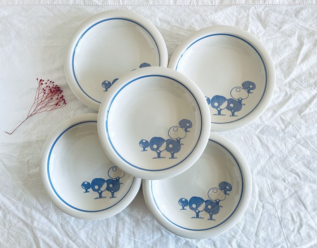 Lot de 5 assiettes creuses Boch Eden