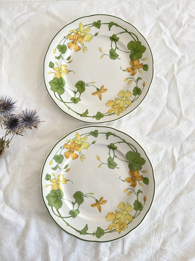 Lot de 2 assiettes à dessert Villeroy & Boch Geranium