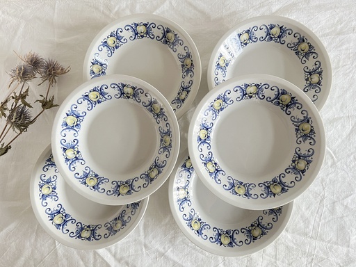 Lot de 6 assiettes creuses Villeroy & Boch Cadiz